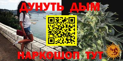 СК Шахты