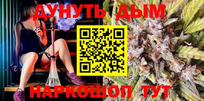 СК Шахты