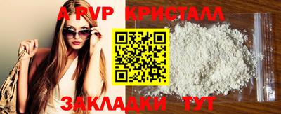 СК Шахты